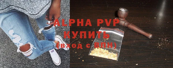 тгк Каменка