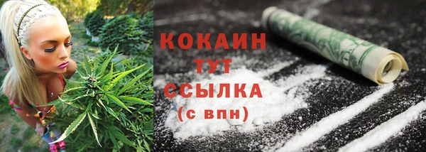 тгк Каменка