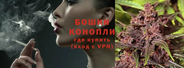 тгк Каменка