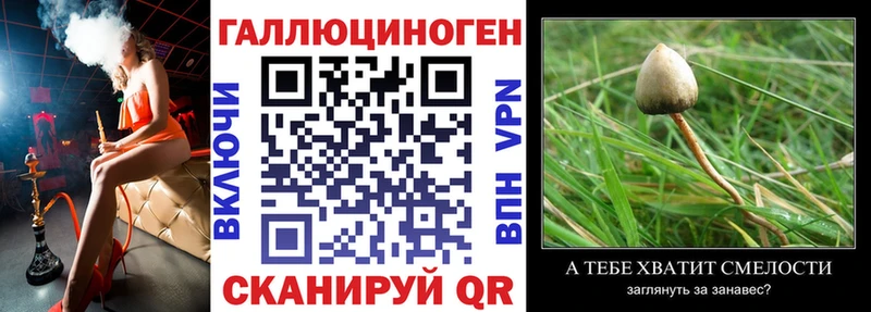 Галлюциногенные грибы GOLDEN TEACHER  сколько стоит  OMG маркетплейс  Щучье 